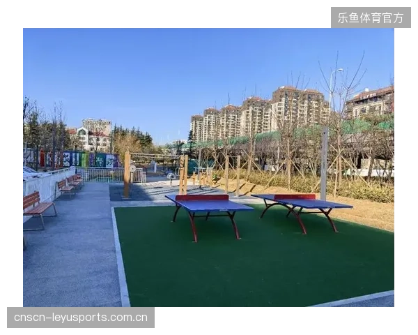 老旧小区内的“口袋体育公园”：为何建成一年后就面临失管和遗弃？